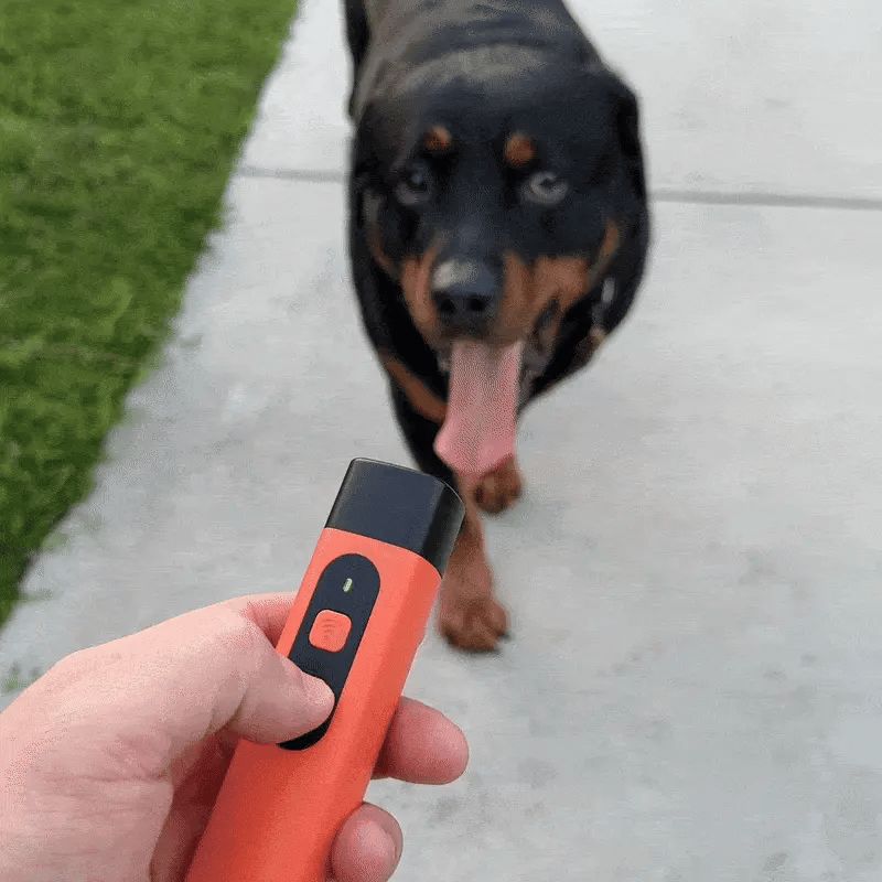 SilentDog™
