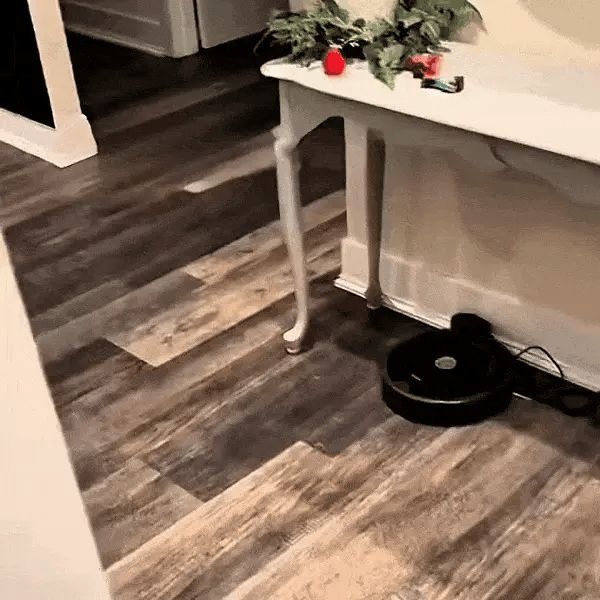SilentDog™
