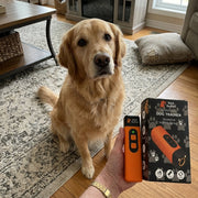 SilentDog™