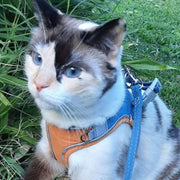 ESCAPE-PROOF CAT HARNESS + LEASH
